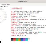 Debian 13